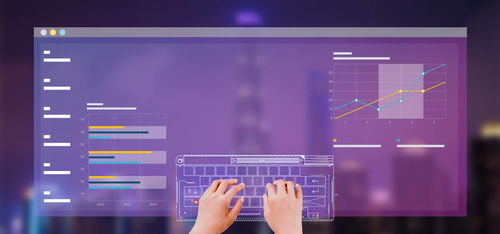 2021年字庫軟件與技術(shù)服務(wù)項(xiàng)目投資分析報(bào)告